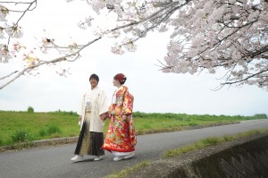 手をつないで土手を歩く新郎新婦を桜越しに撮影