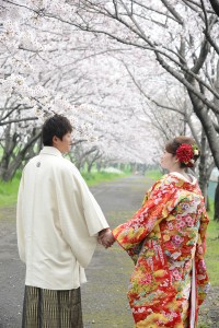 遥か先まで続く桜並木を歩む新郎新婦