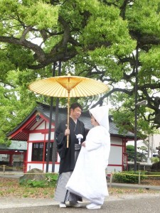 御神木のもと、和傘をさして趣ある写真も撮れました