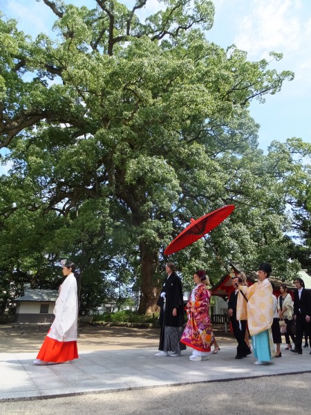 本殿挙式へとすすむ参進