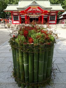 参道の花